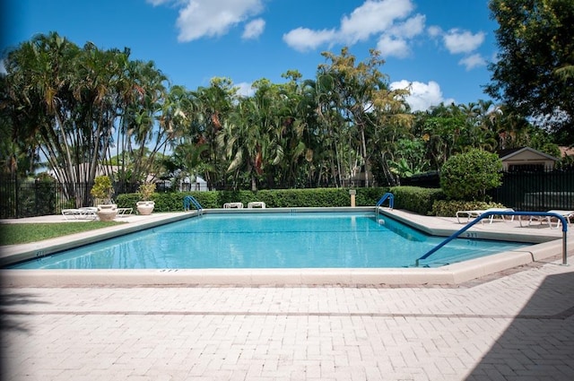 view of pool featuring a patio