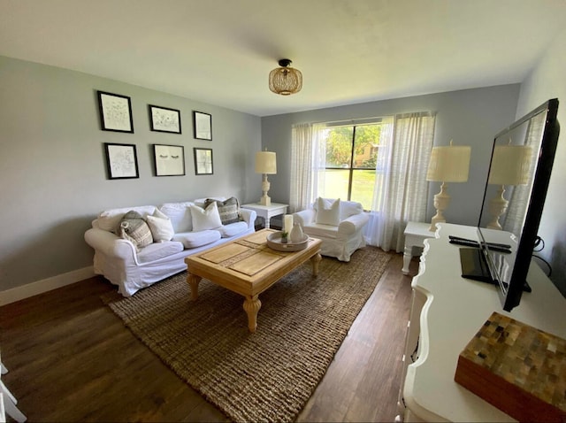 living room featuring wood-type flooring