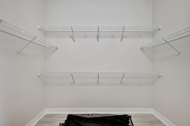 spacious closet with wood-type flooring