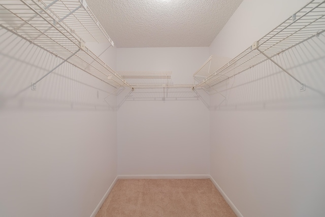 spacious closet with carpet floors