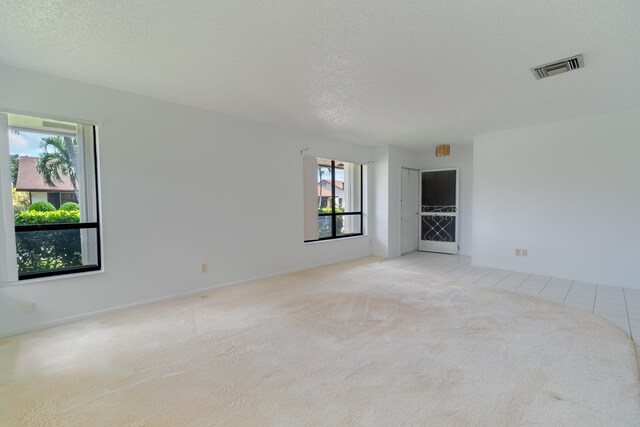 unfurnished living room featuring a textured ceiling, light carpet, and a wealth of natural light