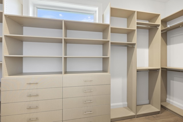 spacious closet featuring hardwood / wood-style flooring