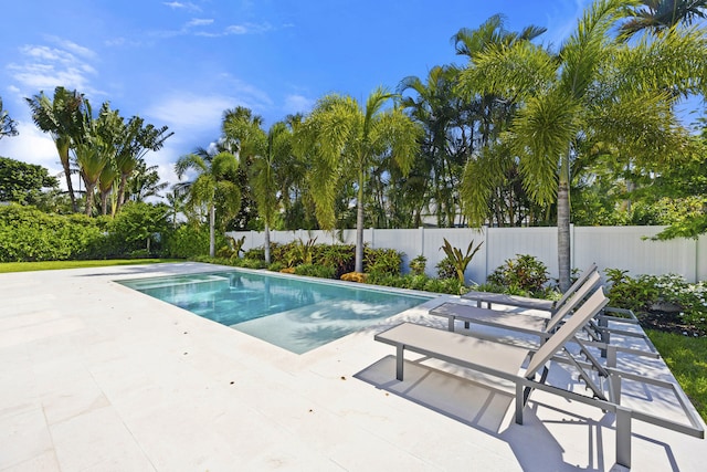 view of swimming pool with a patio area