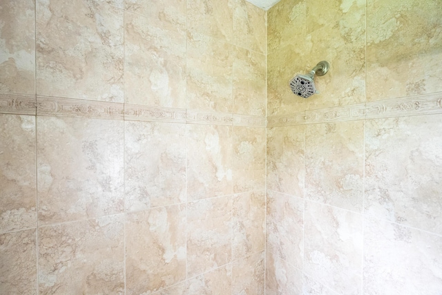 room details with tiled shower