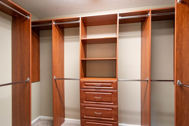 spacious closet featuring carpet