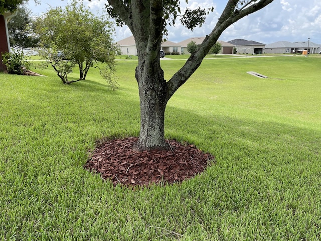 view of yard with a residential view