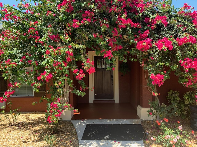 view of property entrance