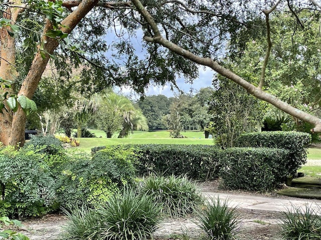 view of property's community featuring a yard