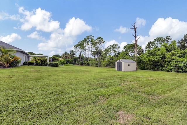 view of yard with a shed