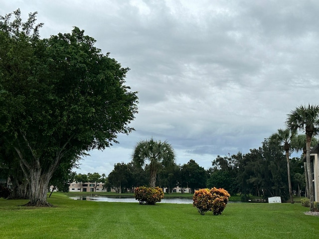 view of property's community featuring a yard