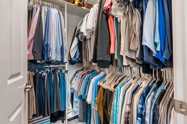 walk in closet with carpet flooring