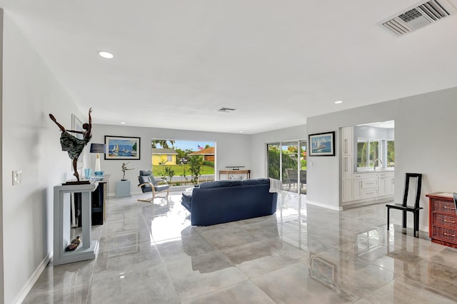 living room featuring sink