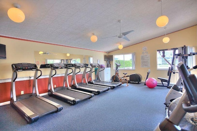 exercise room featuring ceiling fan, crown molding, lofted ceiling, and carpet floors