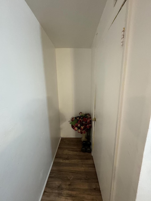 hallway with hardwood / wood-style floors