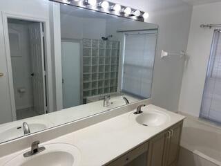 bathroom with vanity and a bathing tub