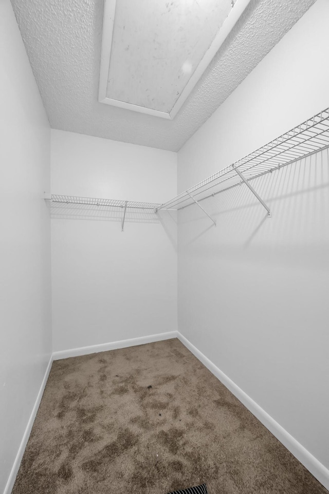 walk in closet featuring carpet floors