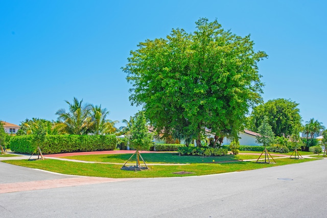 view of home's community featuring a yard