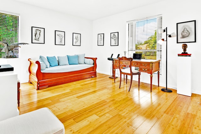 office area with hardwood / wood-style floors