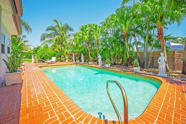 view of swimming pool featuring a patio