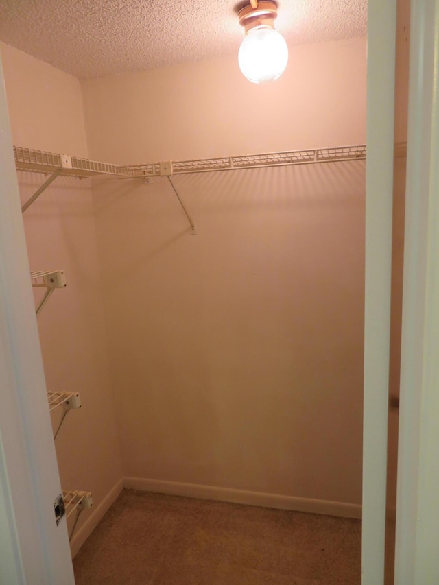 spacious closet featuring carpet flooring