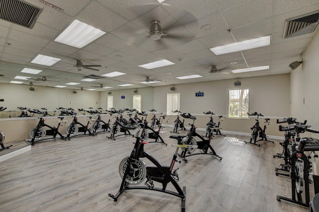 workout area with a drop ceiling, ceiling fan, and light hardwood / wood-style flooring