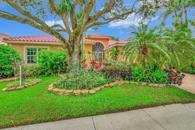 mediterranean / spanish home featuring a front yard, a tile roof, and stucco siding