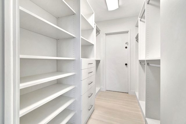 spacious closet with light wood-type flooring