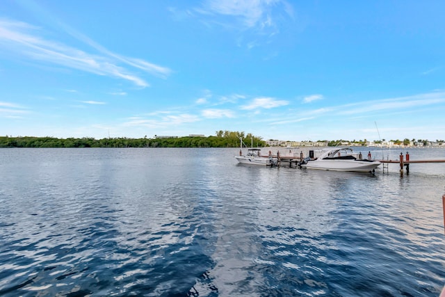 dock area with a water view