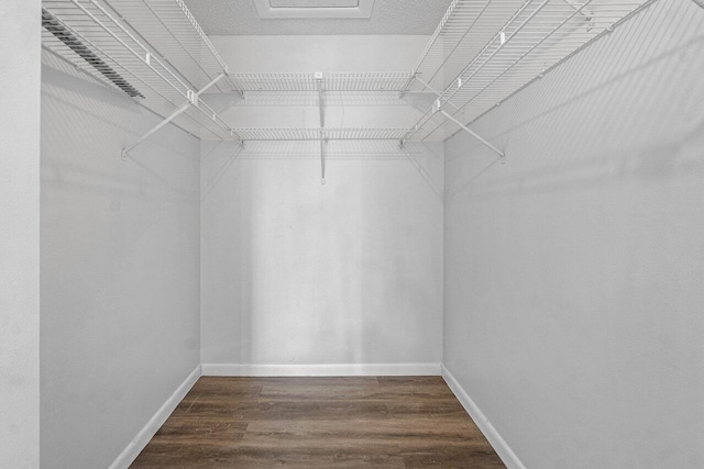 walk in closet featuring dark wood-style floors