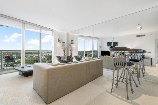 living room featuring floor to ceiling windows and light carpet