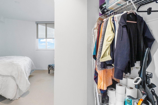 spacious closet with carpet