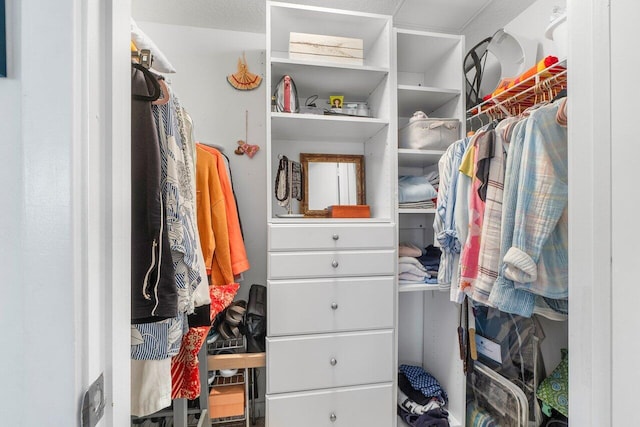 view of spacious closet