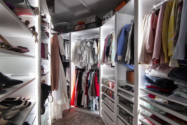 spacious closet featuring carpet floors