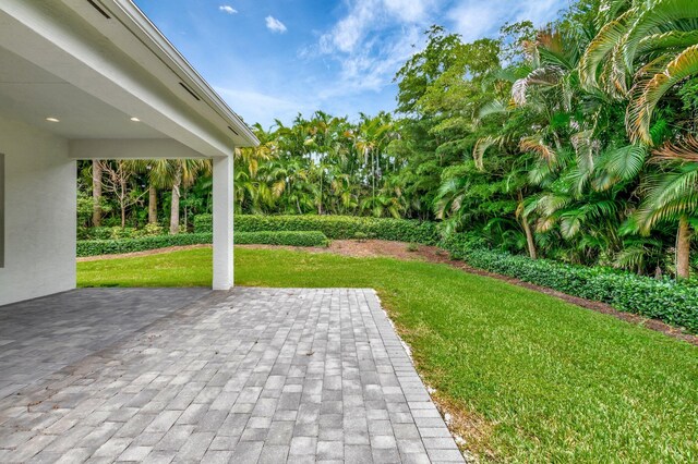 view of yard featuring a patio area