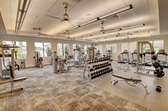 workout area featuring ceiling fan and light carpet