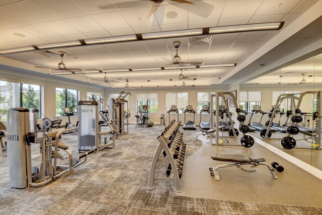 workout area featuring light carpet and ceiling fan