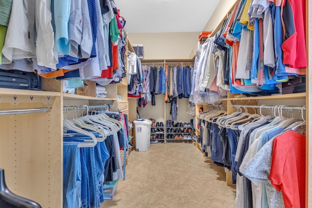 view of spacious closet