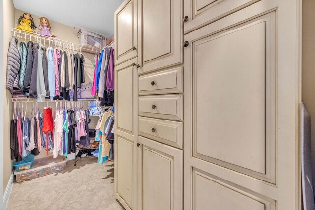 9229 Delemar Ct, Wellington, FL 33414 - view of spacious closet