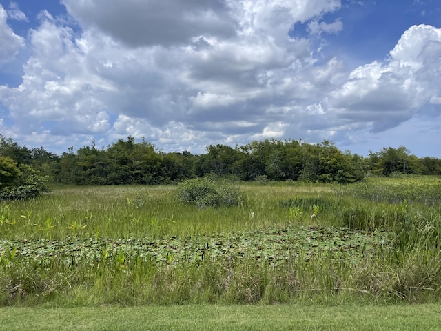 9229 Delemar Ct, Wellington, FL 33414 - view of tree filled area featuring a rural view