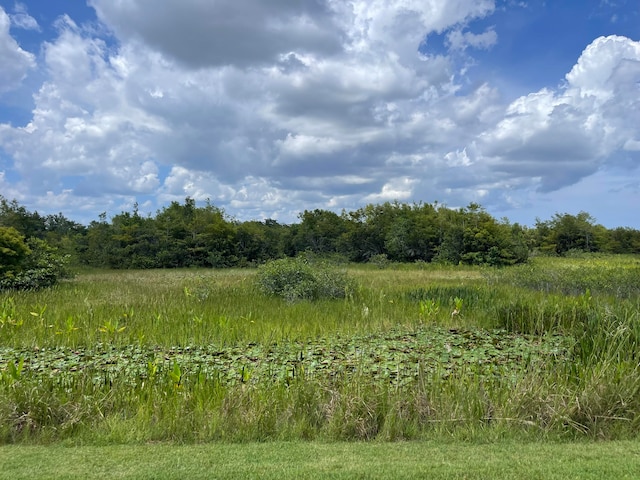 view of nature