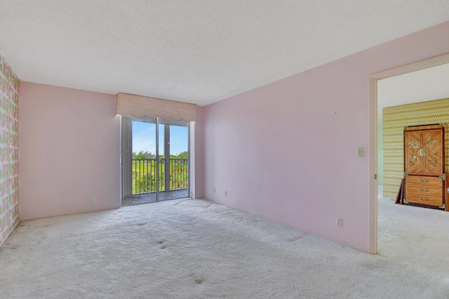 spare room featuring a textured ceiling and carpet flooring