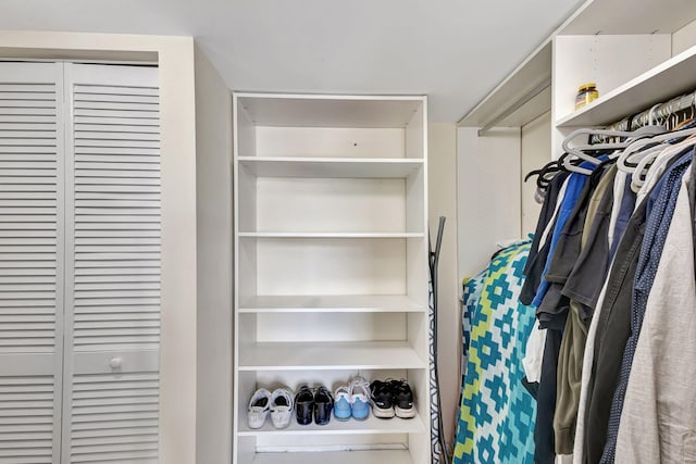 view of spacious closet