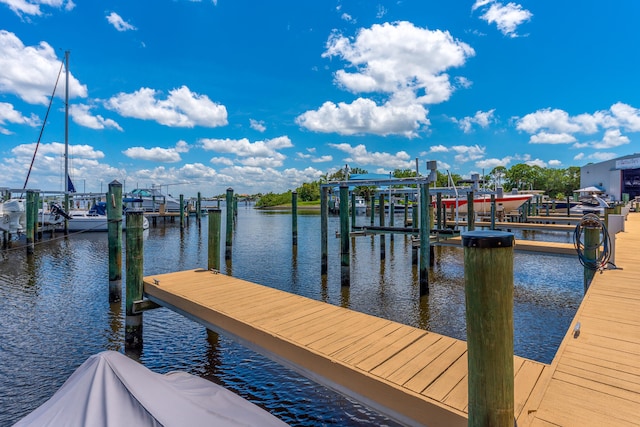 dock area with a water view