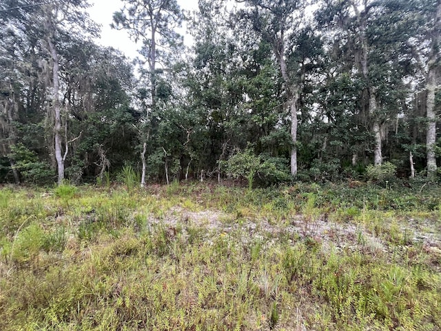 Tbd Glisson, Interlachen FL, 32148 land for sale