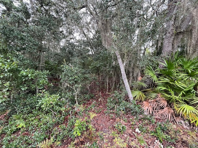 Listing photo 3 for Tbd Glisson, Interlachen FL 32148