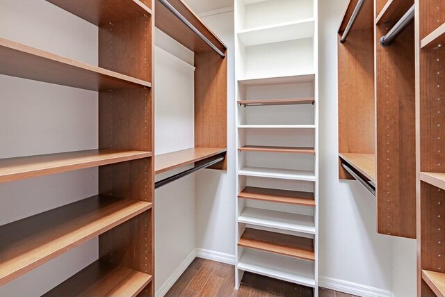 spacious closet featuring hardwood / wood-style flooring