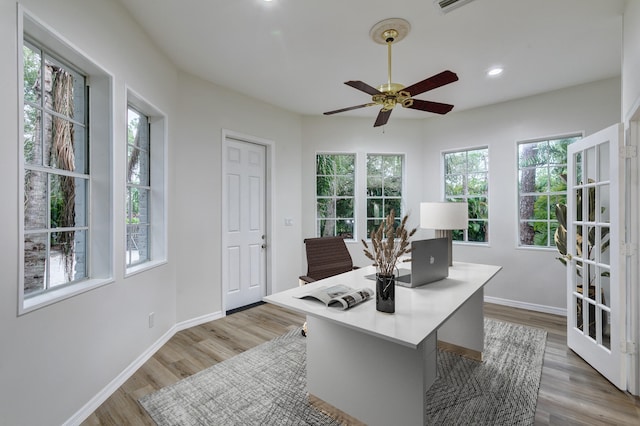 home office featuring a wealth of natural light, ceiling fan, and light hardwood / wood-style floors