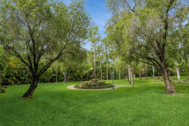 view of community with a yard