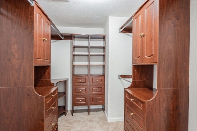 walk in closet with light carpet