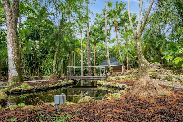 view of community with a water view